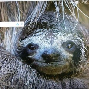 Make me an offer. Please Bundle and make an offer.